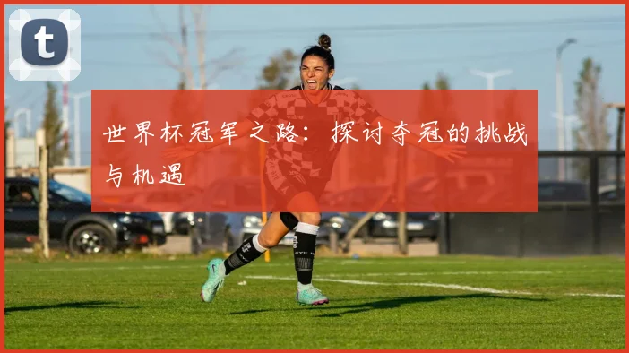 世界杯冠军之路：探讨夺冠的挑战与机遇