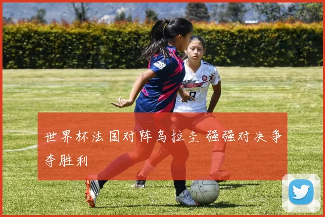 世界杯法国对阵乌拉圭 强强对决争夺胜利