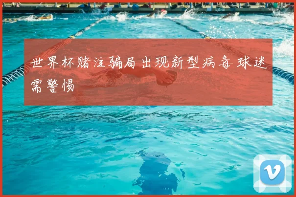 世界杯赌注骗局出现新型病毒 球迷需警惕