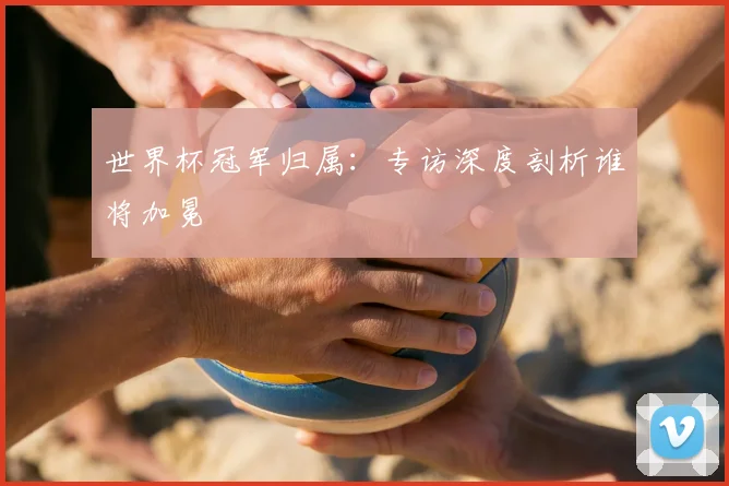 世界杯冠军归属：专访深度剖析谁将加冕