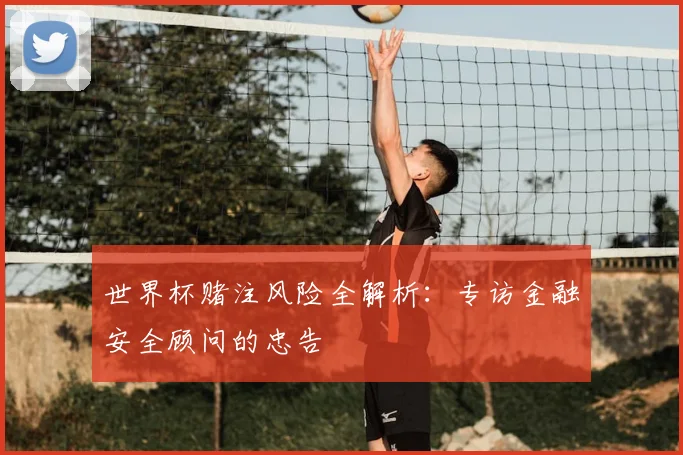 世界杯赌注风险全解析：专访金融安全顾问的忠告