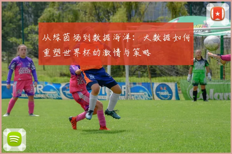 从绿茵场到数据海洋：大数据如何重塑世界杯的激情与策略