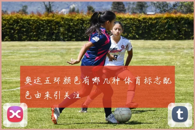 奥运五环颜色有哪几种 体育标志配色由来引关注