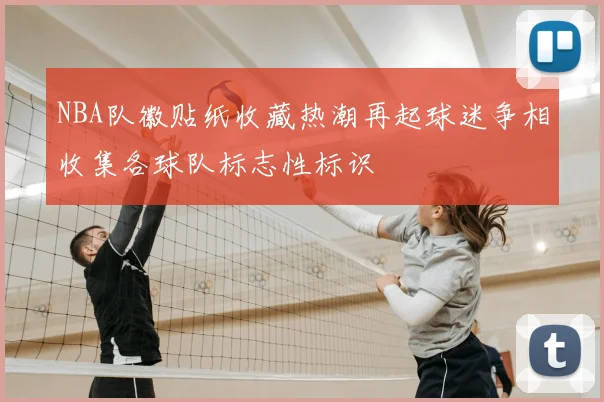 NBA队徽贴纸收藏热潮再起球迷争相收集各球队标志性标识