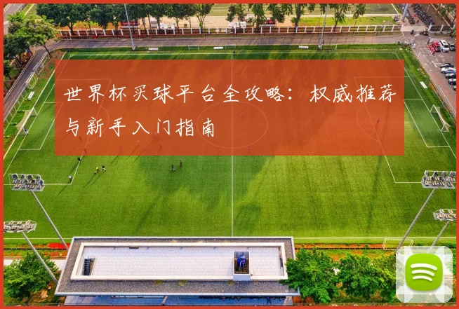 世界杯买球平台全攻略：权威推荐与新手入门指南