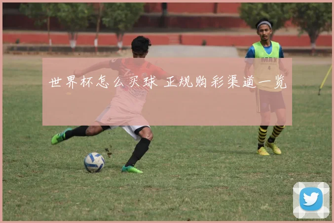 世界杯怎么买球 正规购彩渠道一览