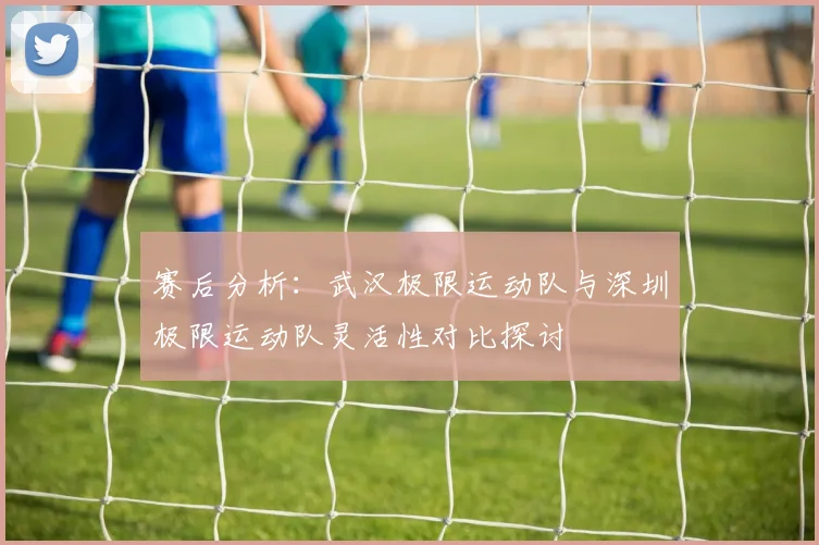 赛后分析：武汉极限运动队与深圳极限运动队灵活性对比探讨