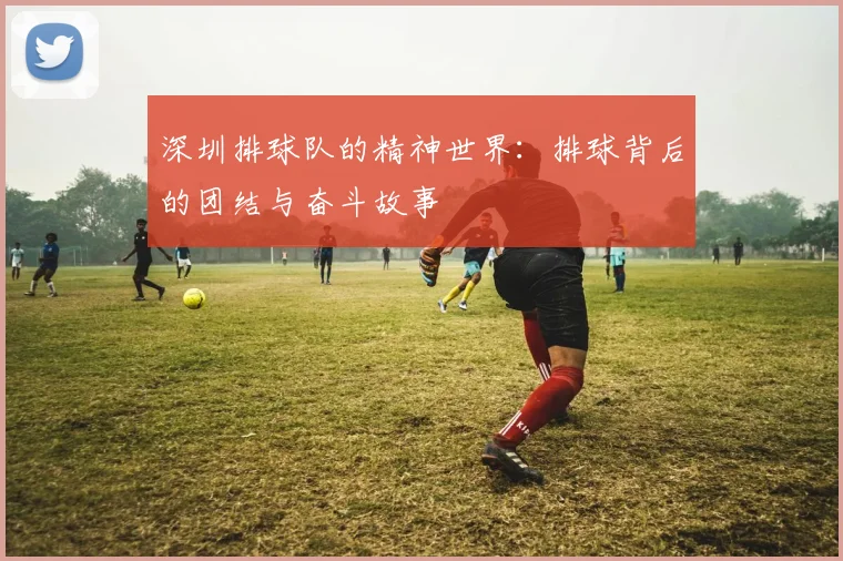 深圳排球队的精神世界:排球背后的团结与奋斗故事