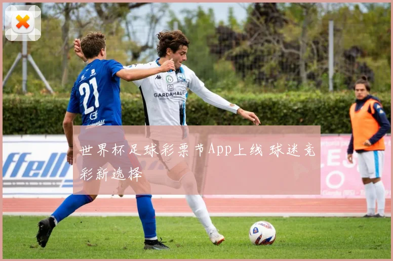世界杯足球彩票节App上线 球迷竞彩新选择