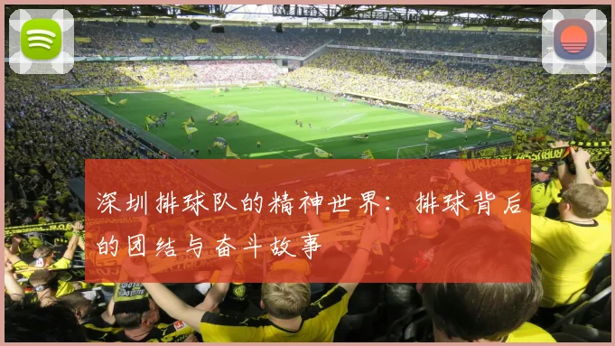 深圳排球队的精神世界：排球背后的团结与奋斗故事