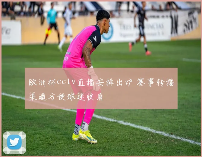 欧洲杯cctv直播安排出炉 赛事转播渠道方便球迷收看