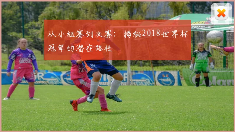 从小组赛到决赛：揭秘2018世界杯冠军的潜在路径