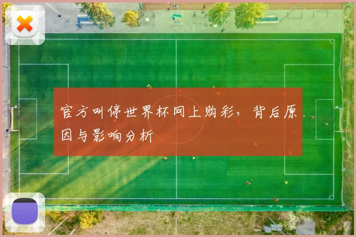 官方叫停世界杯网上购彩,背后原因与影响分析