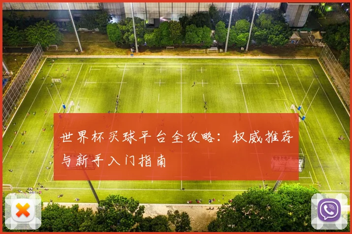世界杯买球平台全攻略：权威推荐与新手入门指南
