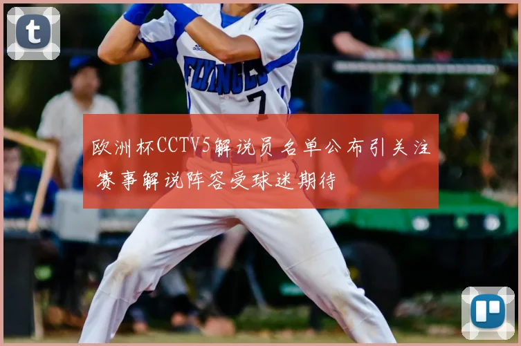 欧洲杯CCTV5解说员名单公布引关注 赛事解说阵容受球迷期待