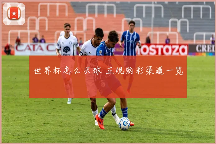 世界杯怎么买球 正规购彩渠道一览