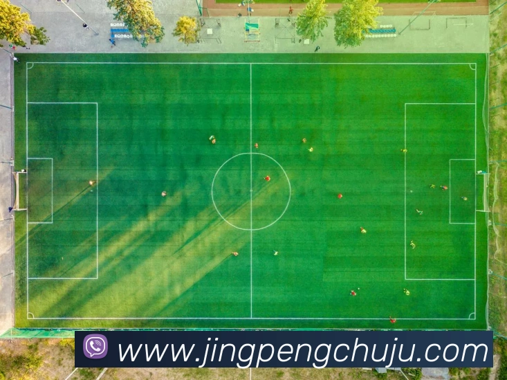 登录器 登录器